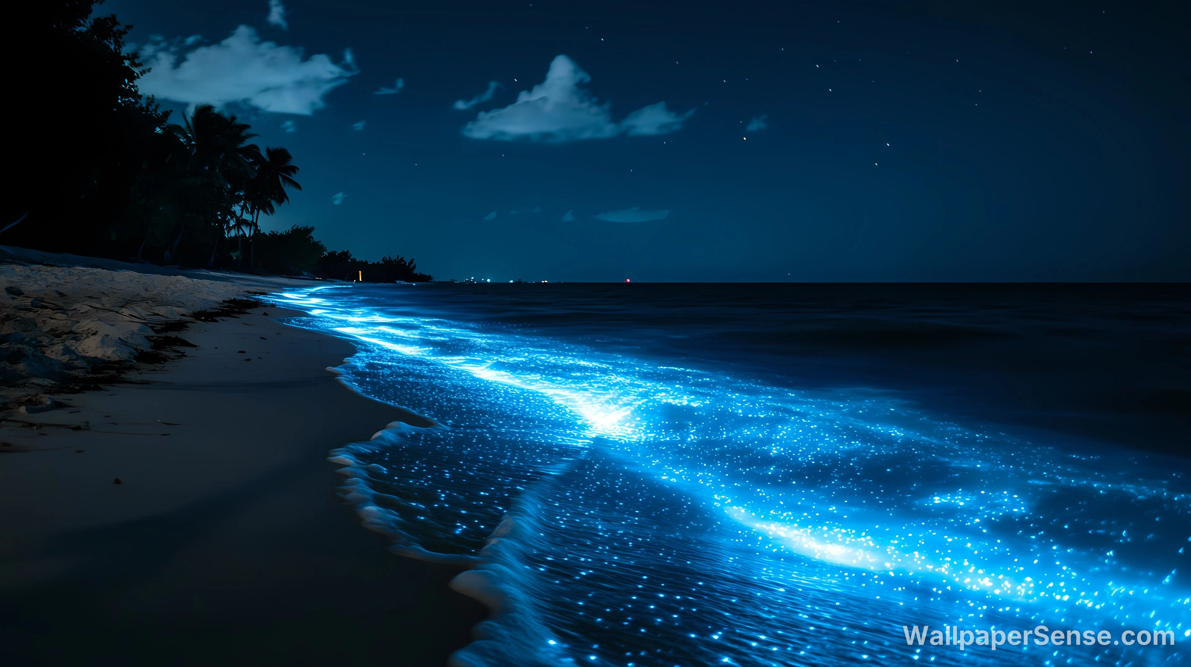 Collection de fonds d'écran 4K 8K Océan Bioluminescent - Fond d'écran 4K nocturne océan bioluminescent