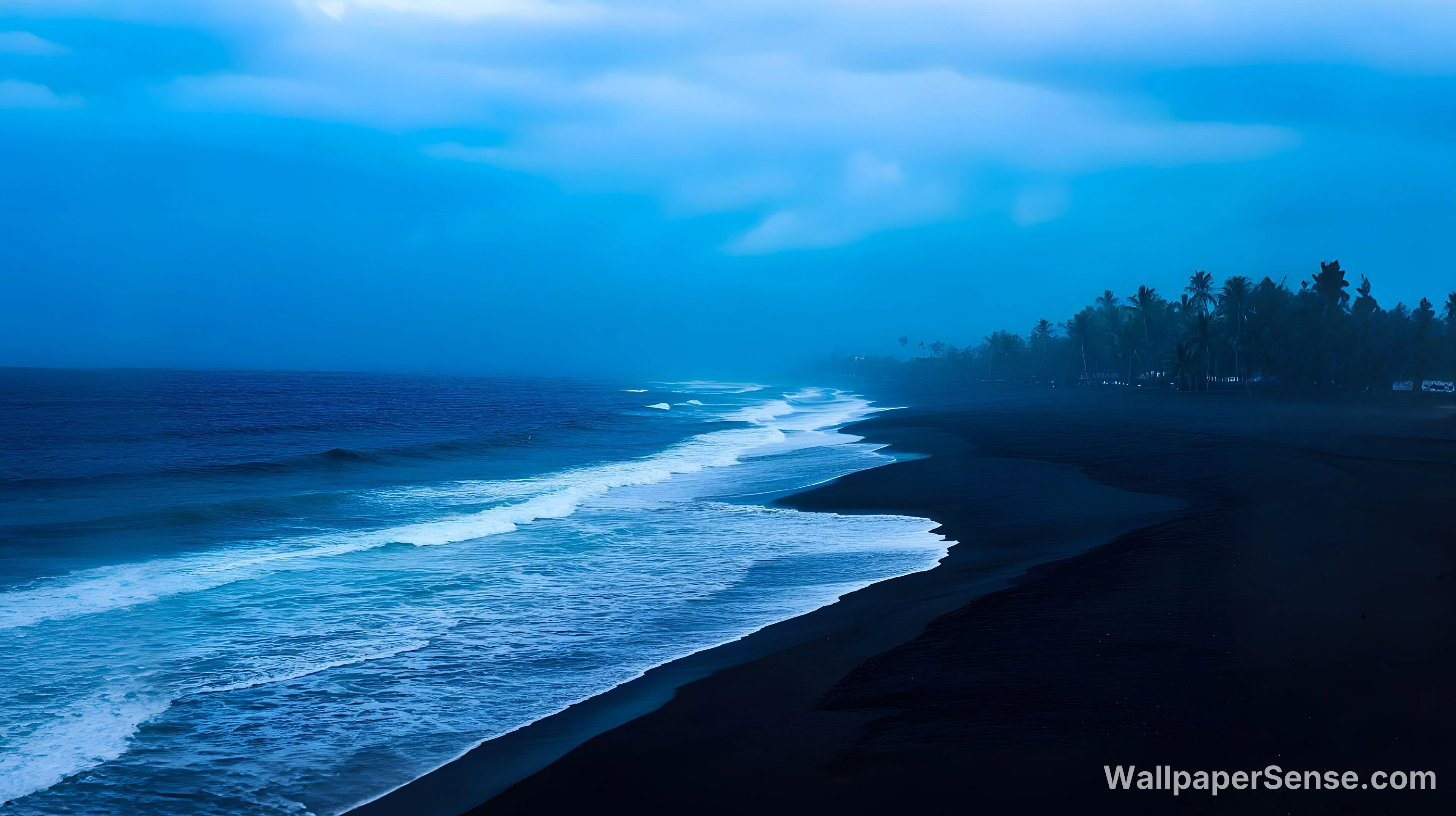 Paysage tropical nocturne de la côte océanique 4K pour bureau