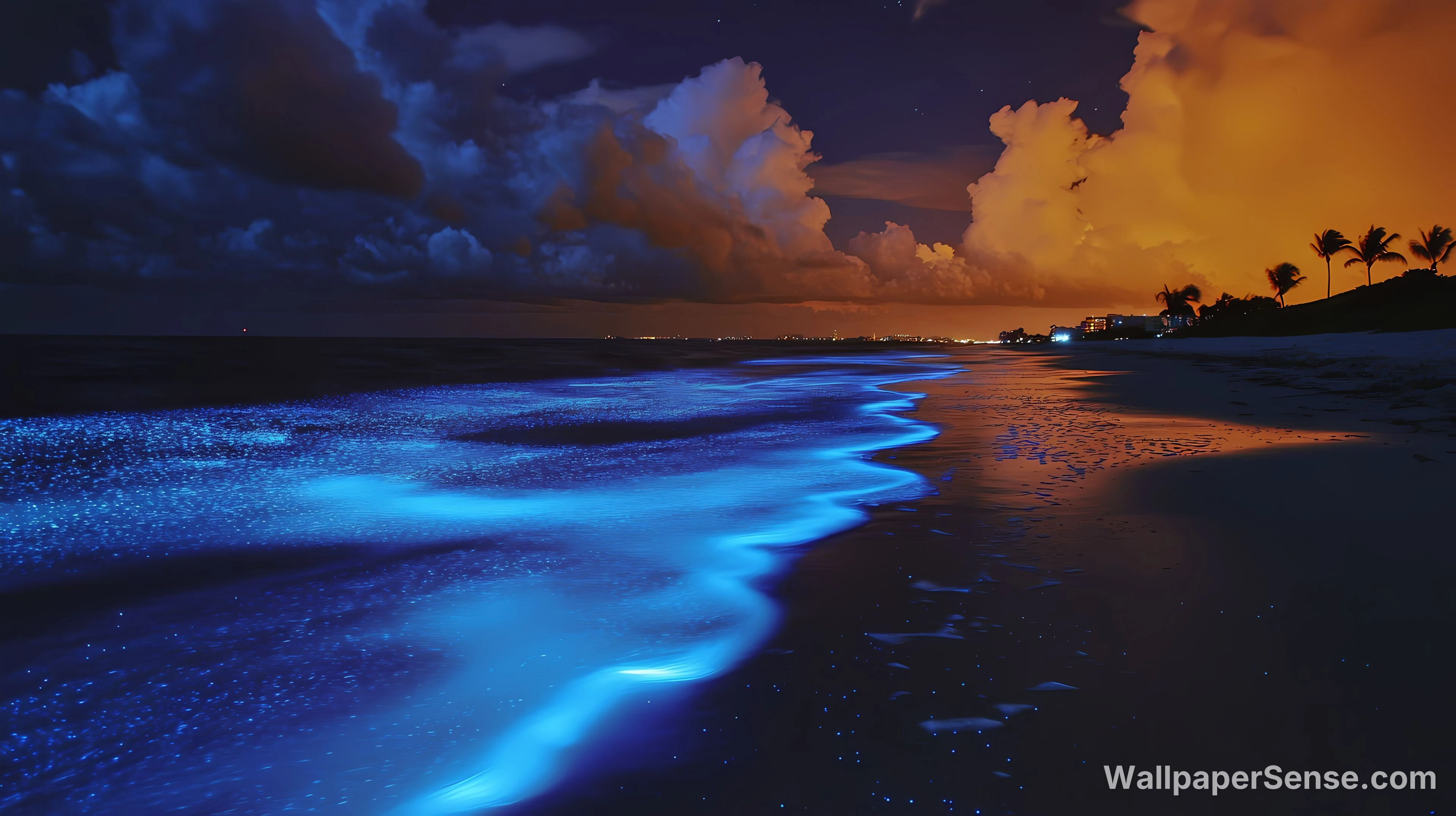 Paysage nocturne lumineux de l'océan 4K pour fond d'écran