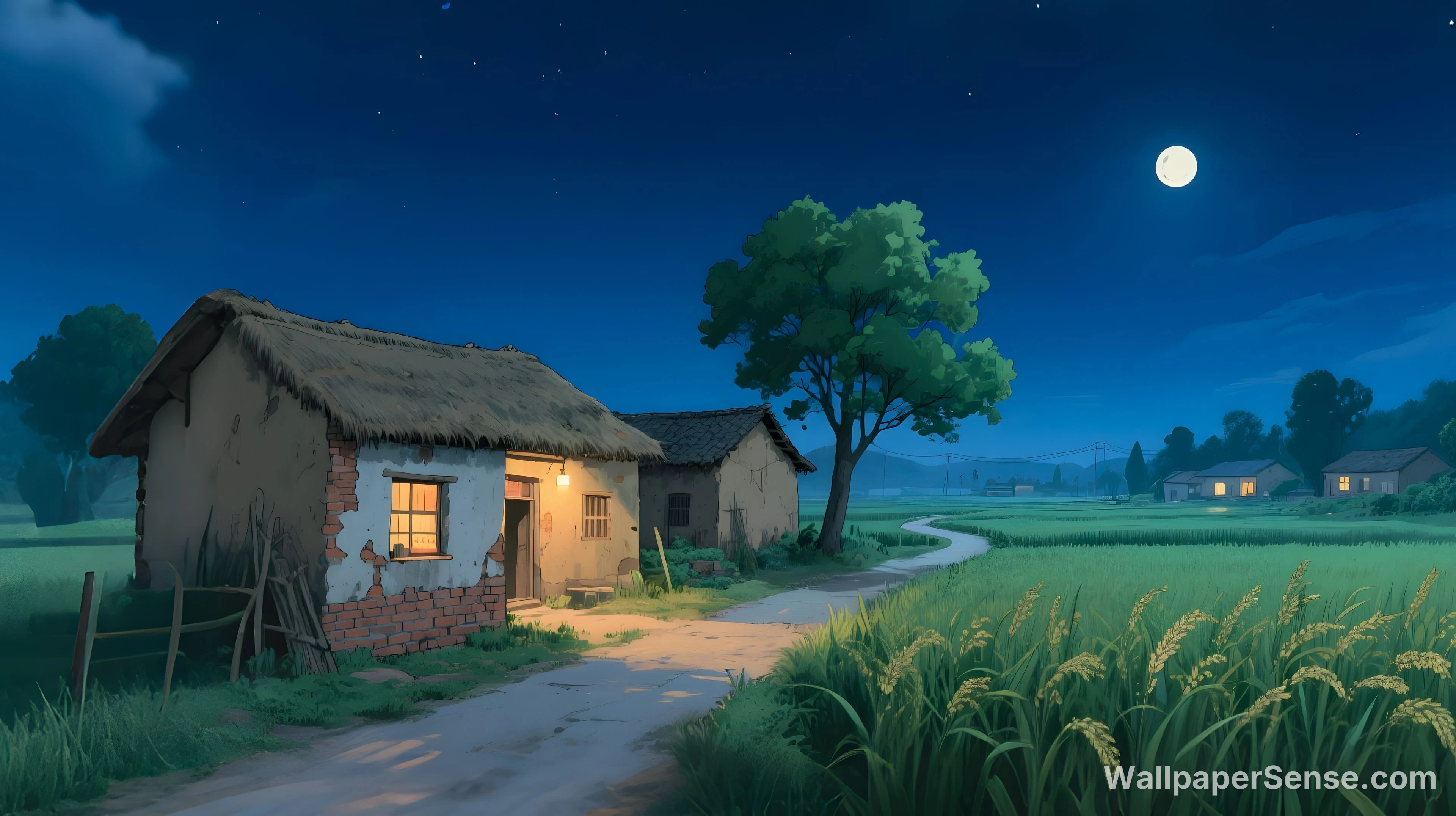日本乡村小屋夜景 4K 桌面壁纸