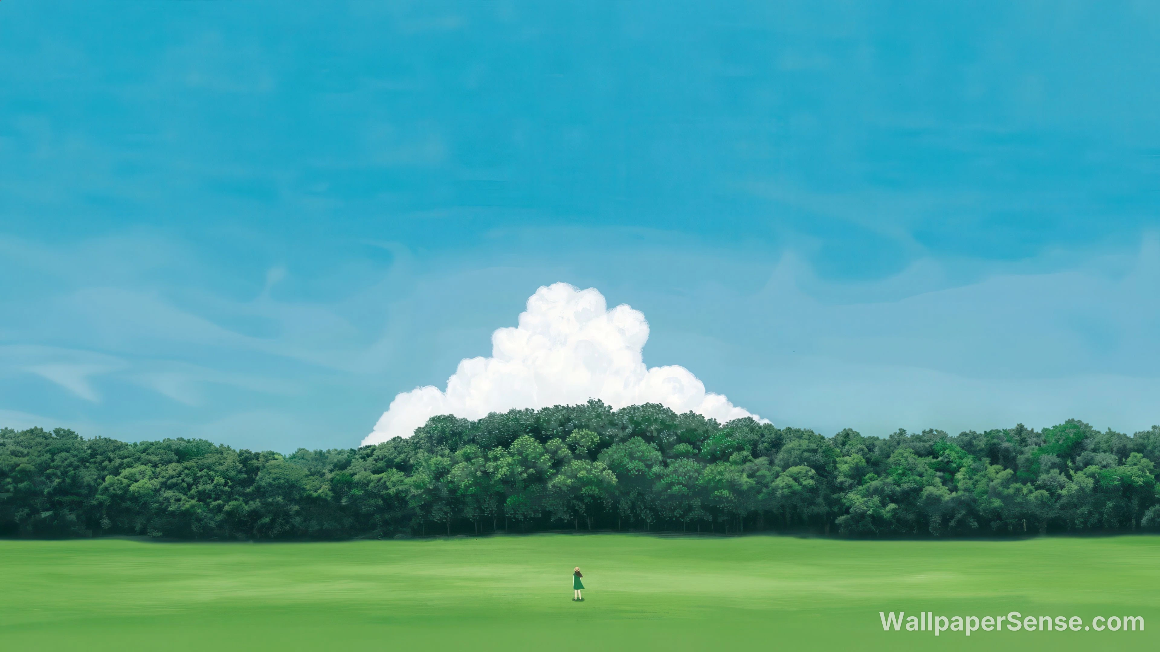 Studio Ghibli styl zelené pole 4K stolní pozadí