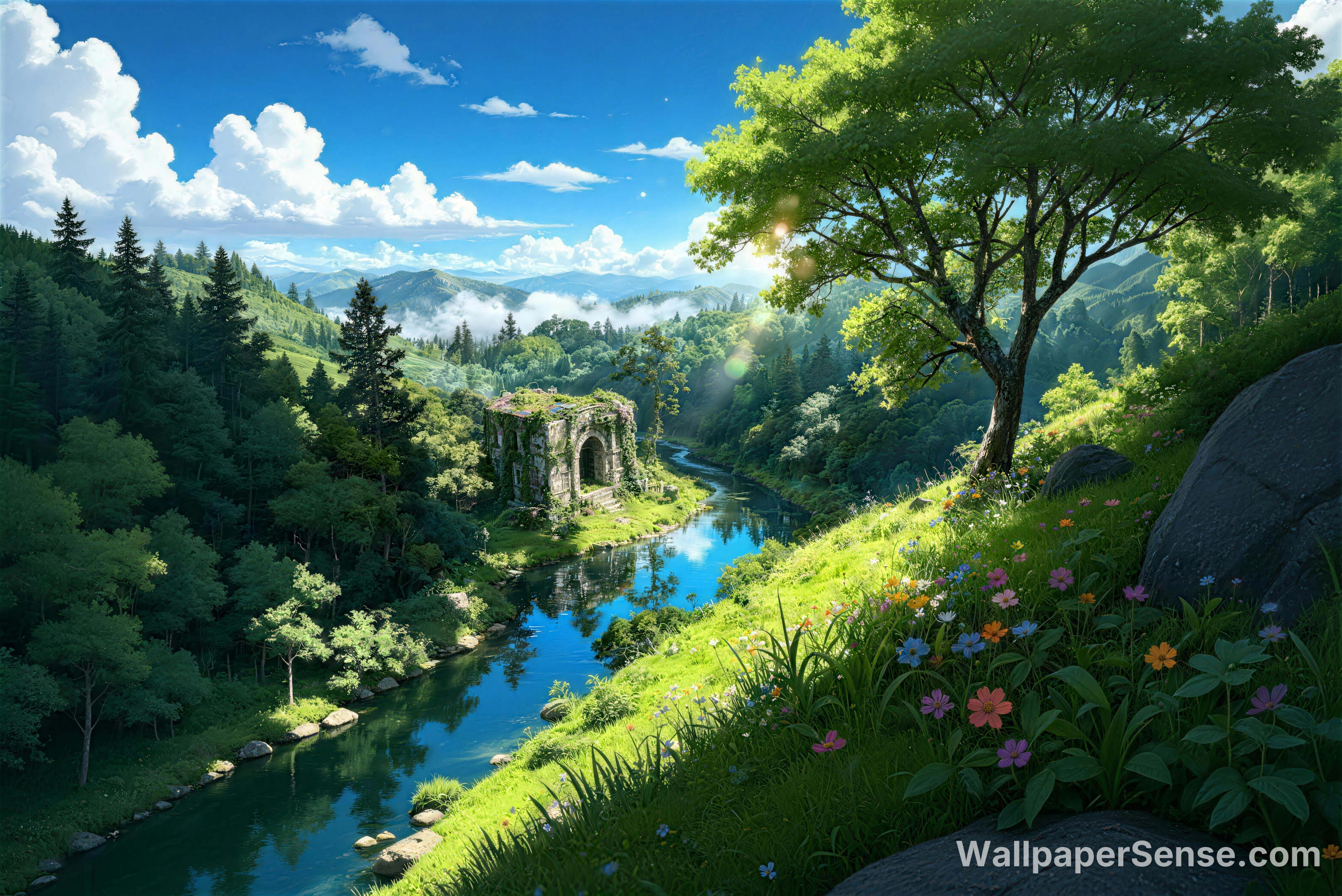Miyazaki-stil skogsbekk 8K-skjermbakgrunn - Premium wallpaper in 8192x5474 resolution