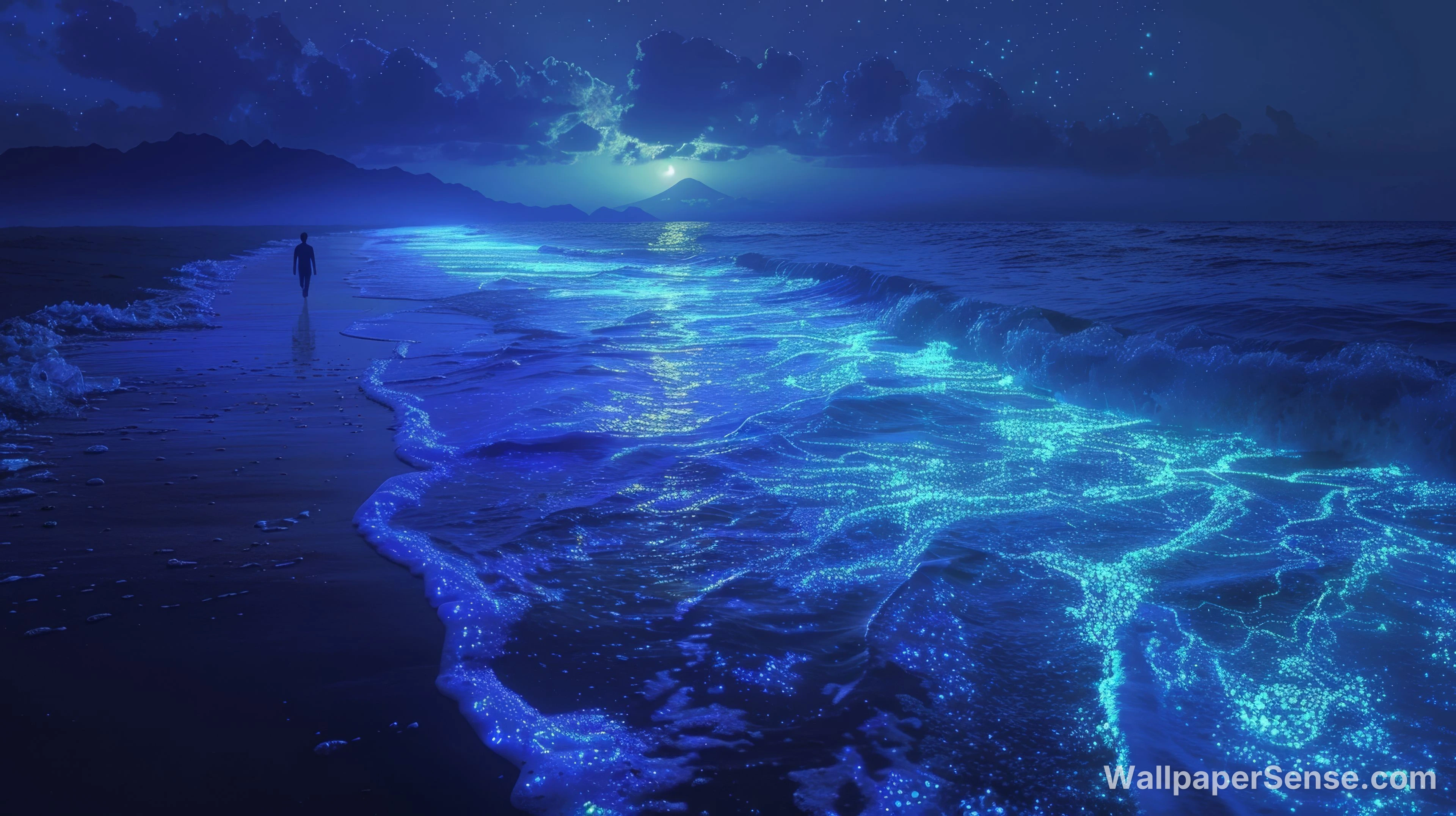 Japonský bioluminiscenční pláž 8K Ultra HD desktopový obrázek