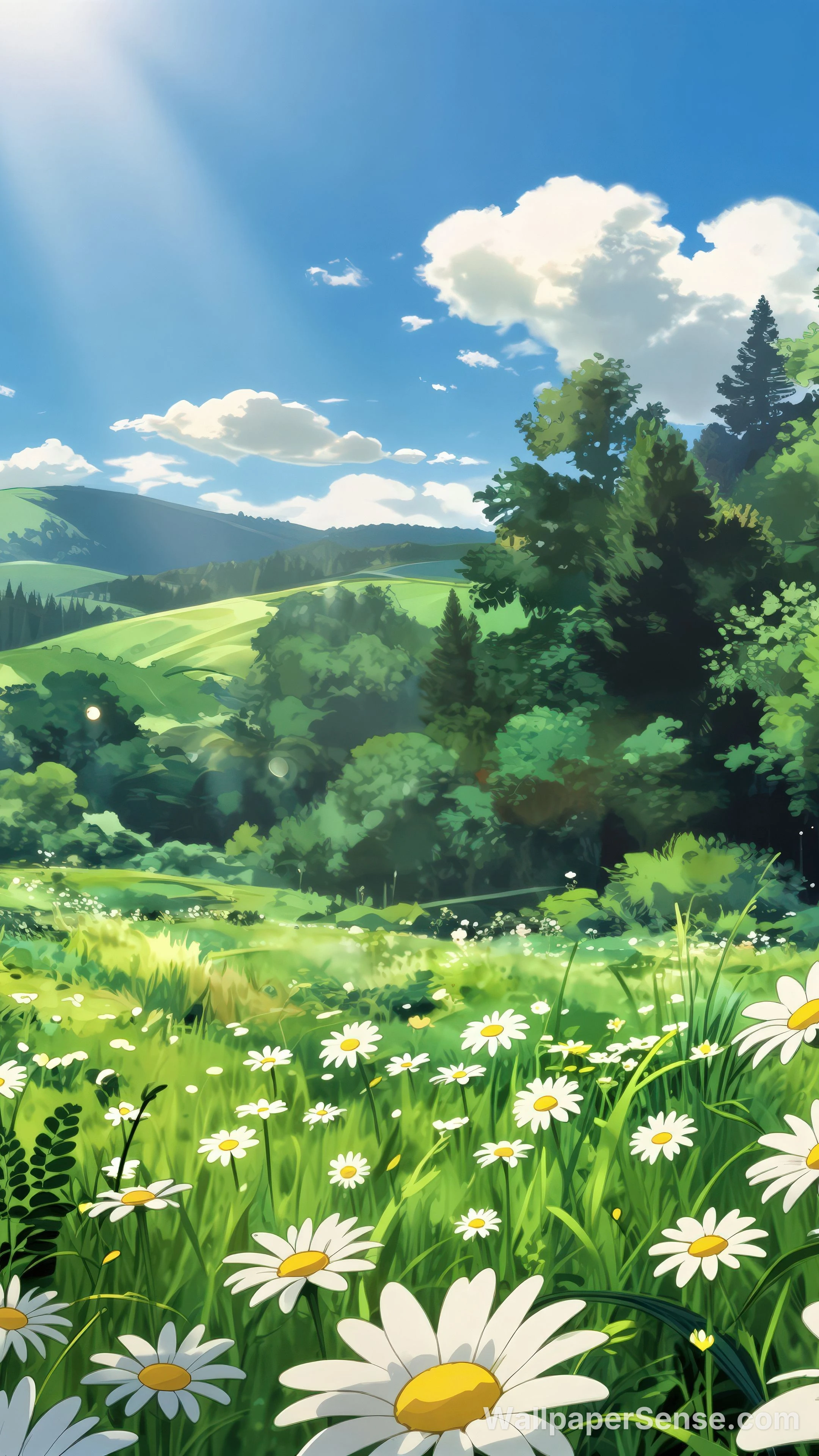 日式动漫雏菊花田 8K超高清手机壁纸 - Premium wallpaper in 2511x4464 resolution