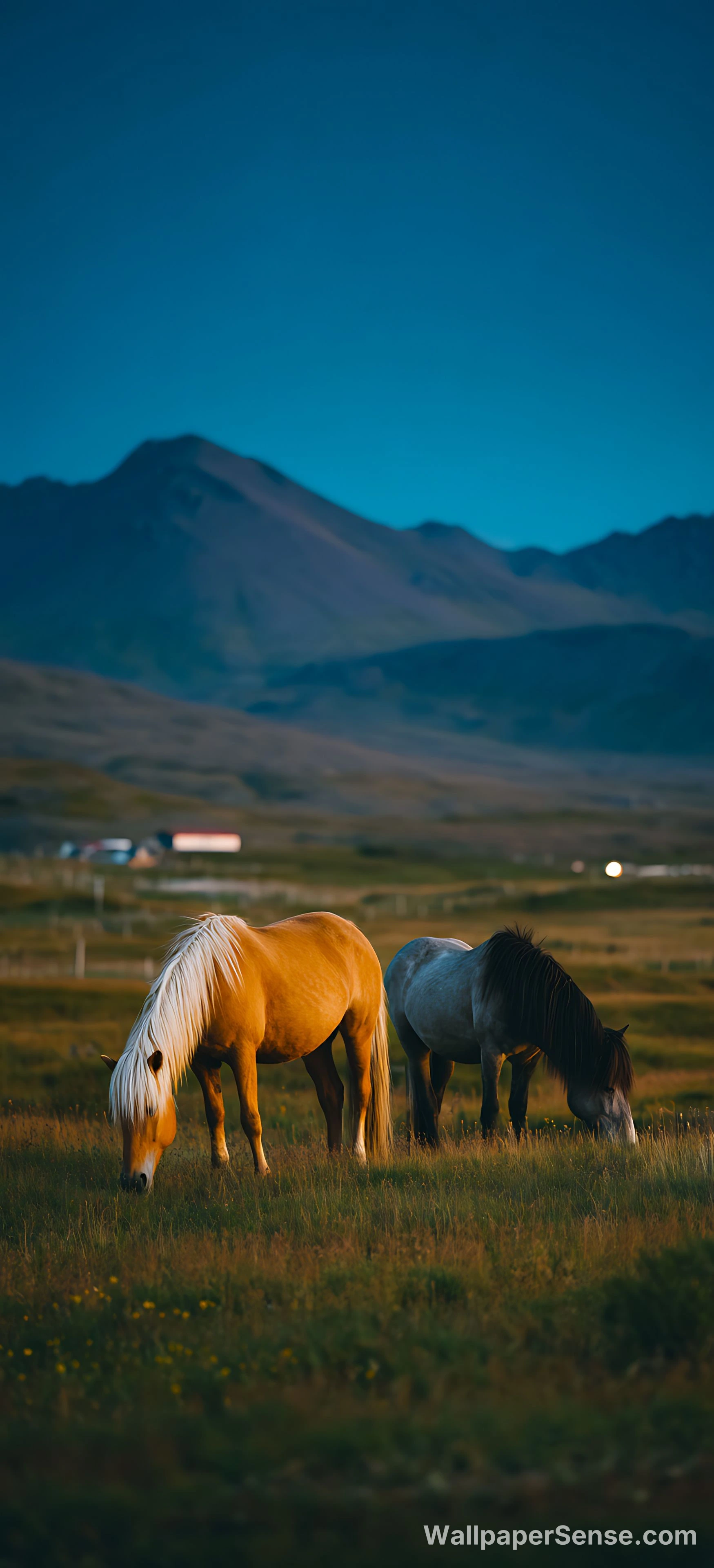 Zbiór tapet Mountain Horses 4K 8K Ultra HD - Zachodnie Góry Konie 8K Ultra HD do telefonu