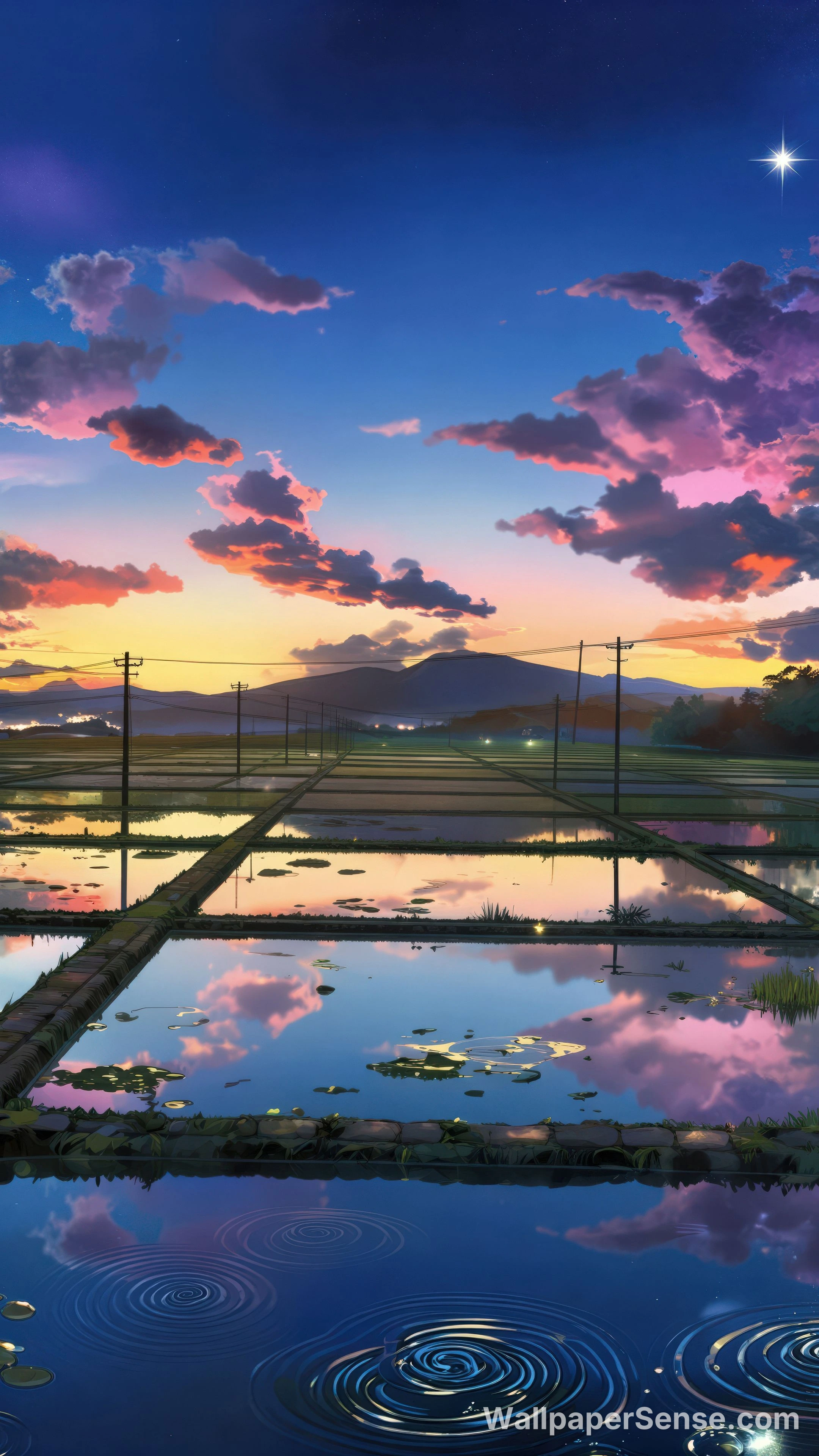 Japonské rýžové polní pole při západu slunce 8K ultra HD mobilní pozadí