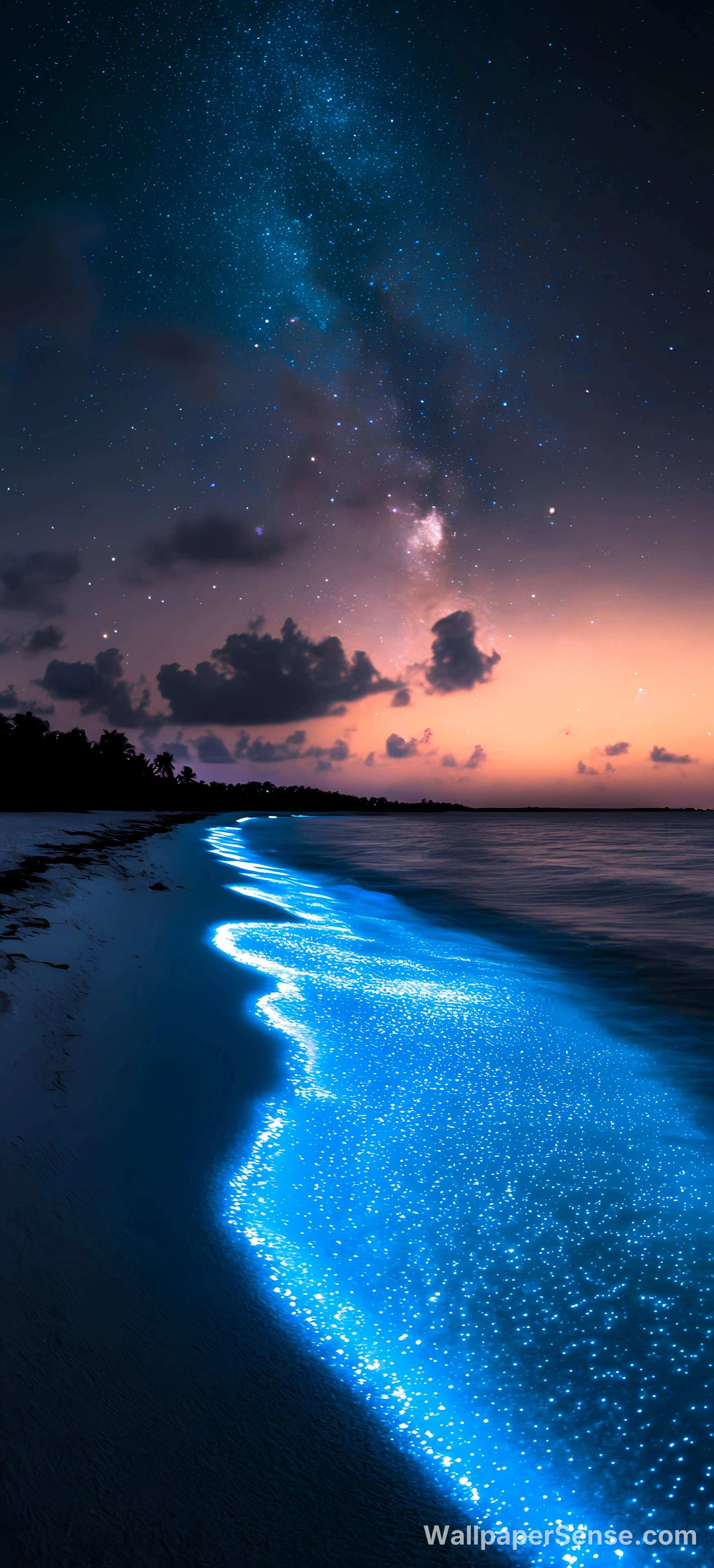 Plage tropicale luminescente 8K Ultra HD pour téléphone