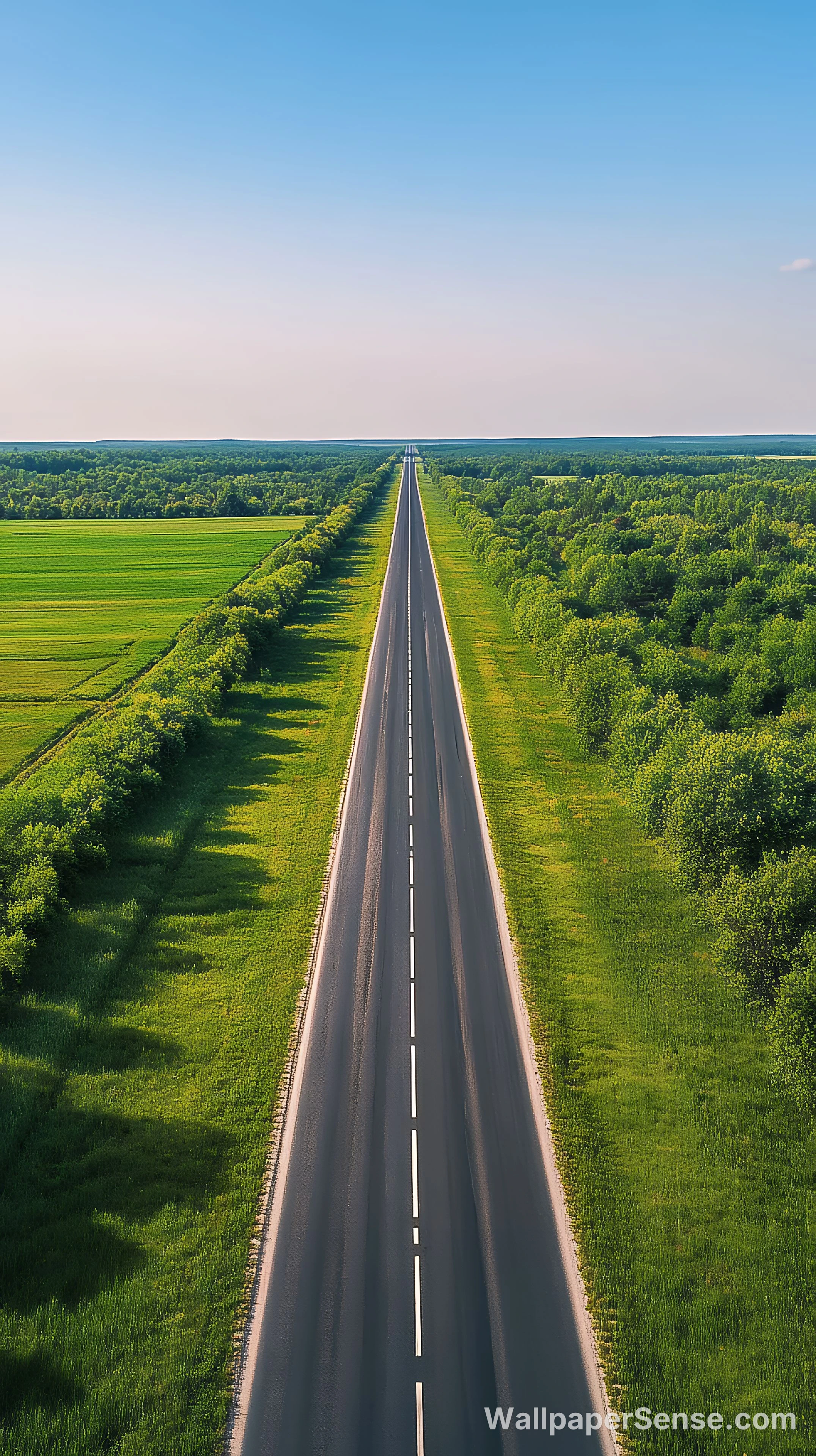Minimalistická cesta skrz zelené pole 8K ultra HD mobilní pozadí