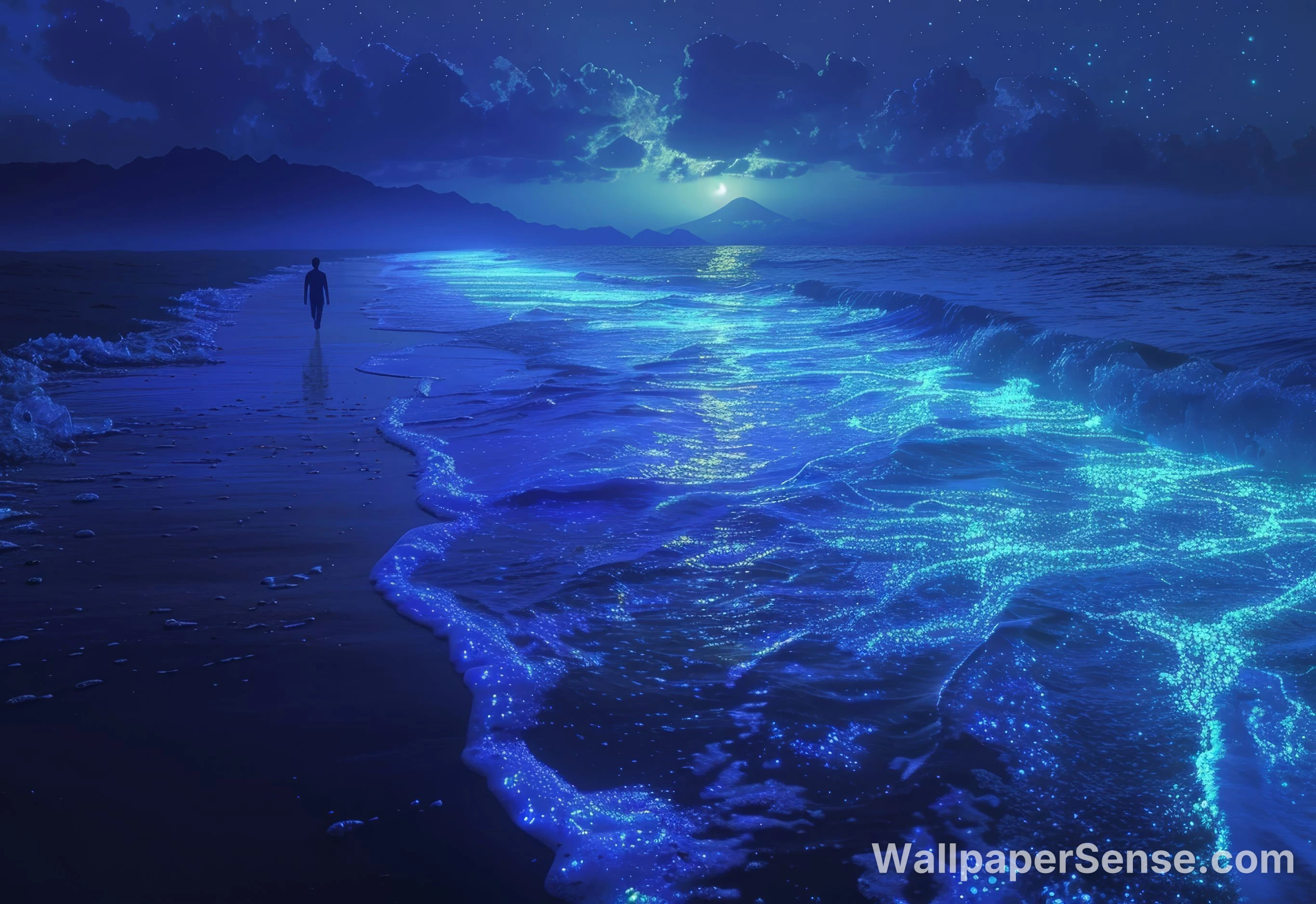 Japonský bioluminiscenční pláž 8K Ultra HD tabletový obrázek