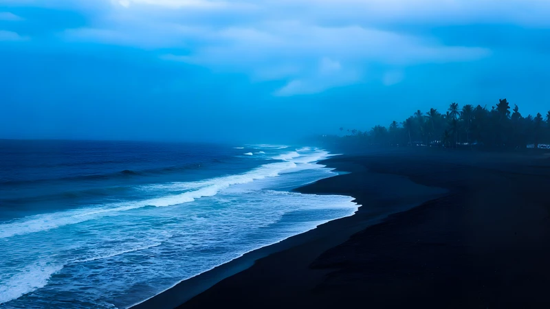 Tropical Night Ocean Coast 4K Desktop Wallpaper
