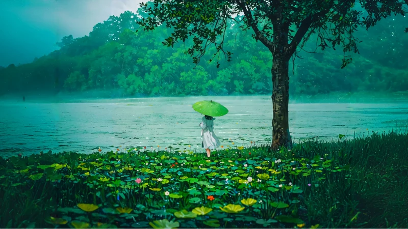 Anime Rainy Lake Scene 8K Ultra HD Desktop Wallpaper