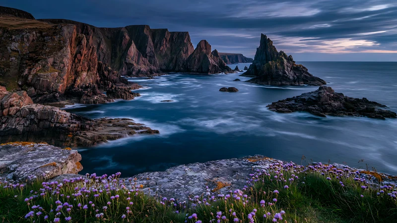 Coastal Cliffs Purple Flowers 4K 8K Ultra HD Wallpaper Collection - Pack with 3 wallpapers for $1