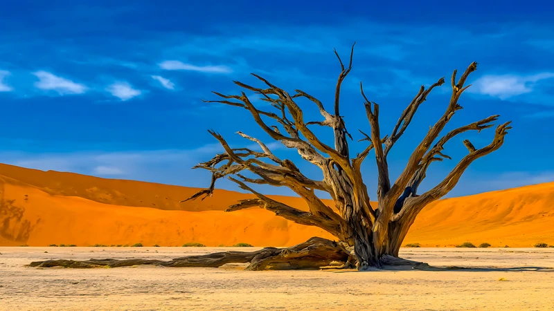 Desert Dead Tree 4K Desktop Wallpaper