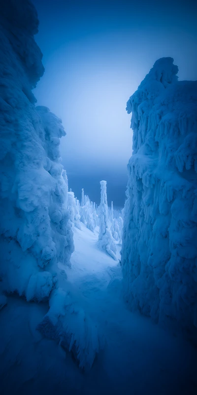 Japanese Winter Snowscape 8K Ultra HD Phone Wallpaper