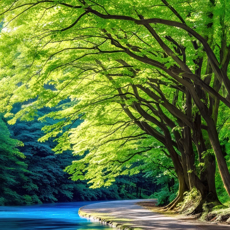 Paisagem de Rio Florestal Japonês 8K Ultra HD para Desktop